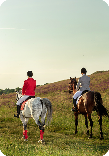 home.our-community.images.horseRiders